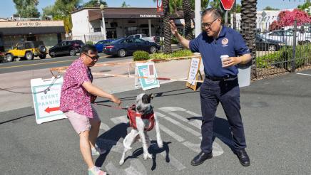 Pet Wellness Fair