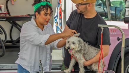 Pet Wellness Fair