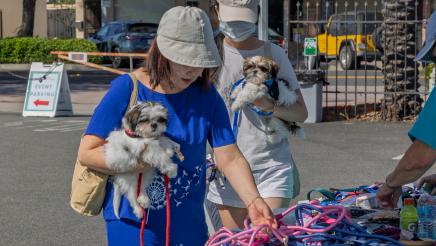 Pet Wellness Fair