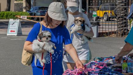 Pet Wellness Fair