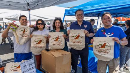 Pet Wellness Fair