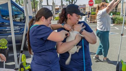Pet Wellness Fair