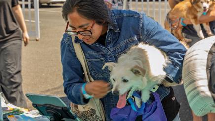Pet Wellness Fair