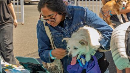 Pet Wellness Fair